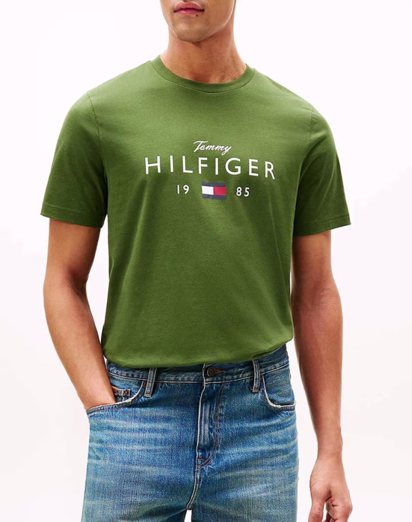 TOMMY HILFIGER T-Shirt  ΠράσινοΑνδρικό